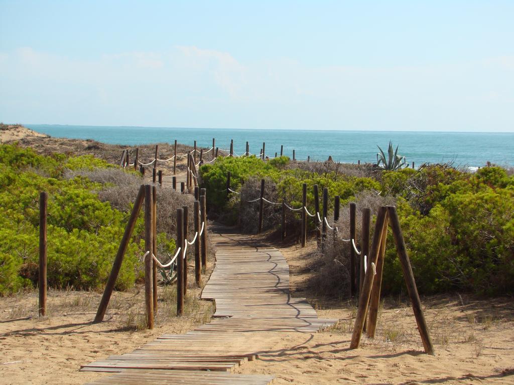 לה מאטה Apartament Pinada Beach חדר תמונה